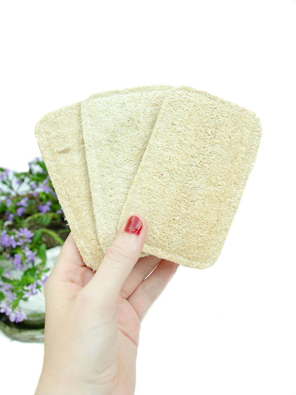 Eco Dish Washing Sponge 3 Pack - Loofah