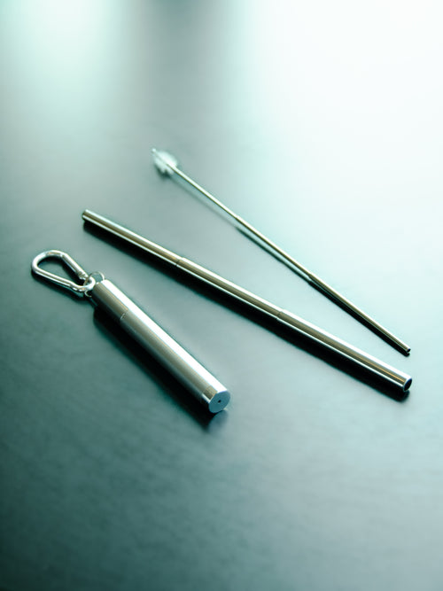 Reusable stainless Steel Telescopic Travel Straw